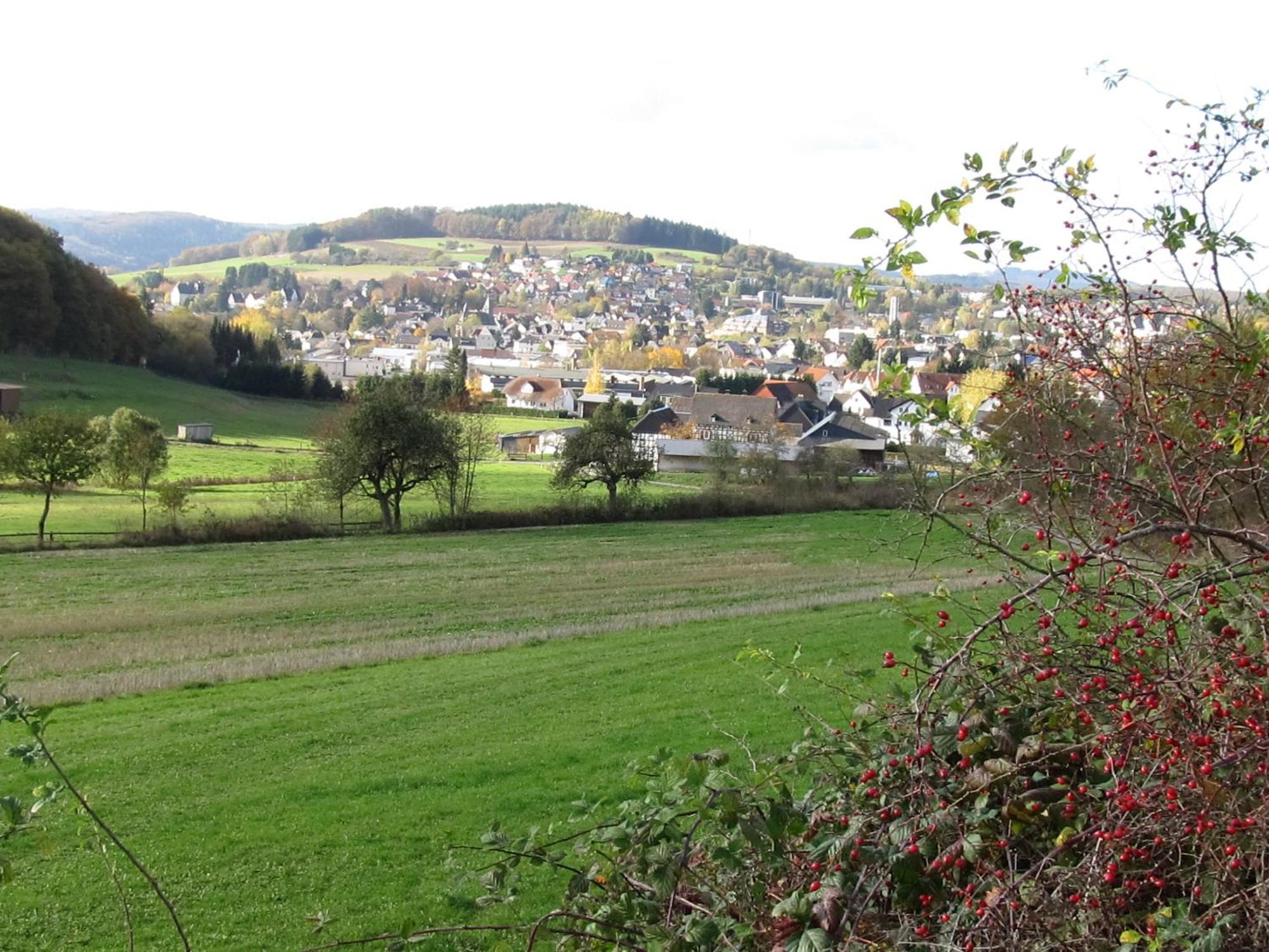 Zum Treppche Hotel Garni Gladenbach Kültér fotó